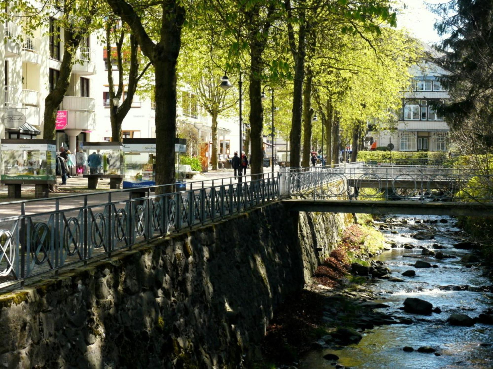 Apartament Henning Bad Harzburg Zewnętrze zdjęcie